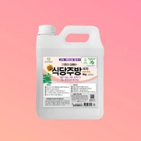 보현채우미 기름때 식당주방 클리너 4kg 브리오신 (WD3A944)