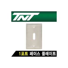 TNT NM-TNT116 1포트 스테인리스 페이스 플레이트