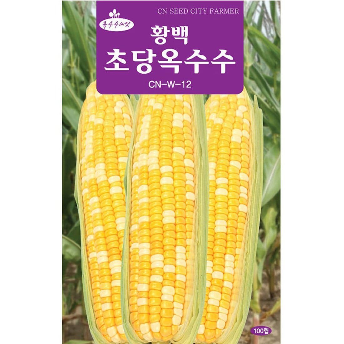 황백 초당옥수수 씨앗 100립, 이마트몰, 당신과 가장 가…