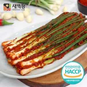  새벽팜 파김치 1kg 2kg 3kg 국내산 100% 전라도김치 참매실 새벽김치