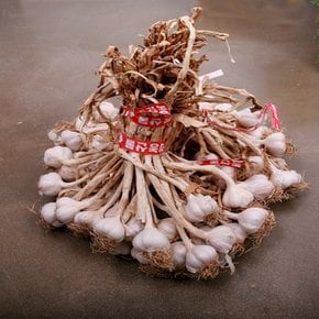 의성 햇 토종 한지형 마늘 왕특 5kg(한접/100-120개내외/6cm이상)