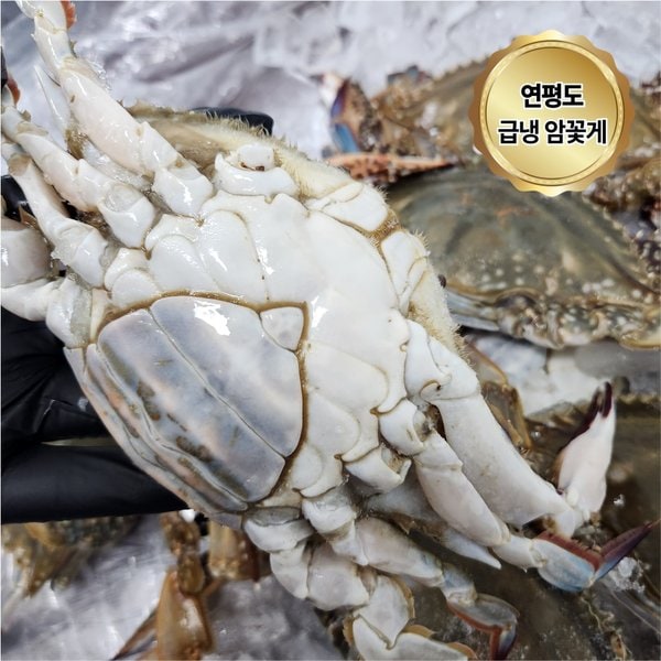 확대된 대표 상품이미지1