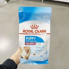 미니 인도어 퍼피 500g