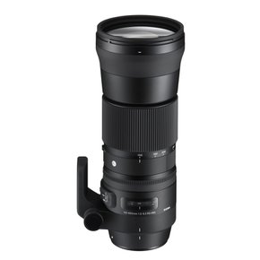 SIGMA 망원 줌 렌즈 Contemporary 150-600mm F5-6.3 DG OS HSM 니콘 용 745554