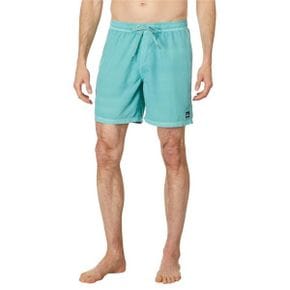 4836418 Quiksilver 17 Everyday Surfwash Volley Shorts