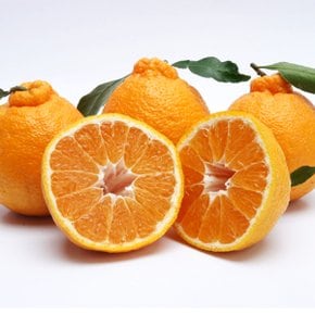 새콤달콤 제주한라봉3kg(10~12개입)