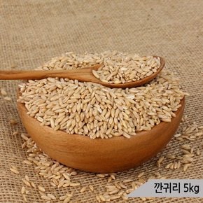 건강알곡 깐귀리 5kg 앵무새 햄스터 영양간식 사료