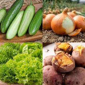 신선함 가득 제철 농산물 양파/옥수수/감자 외 골라담기