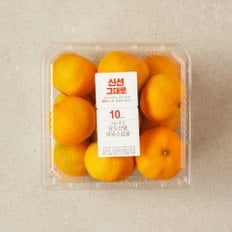 [당도선별] 하우스감귤 1kg (팩)