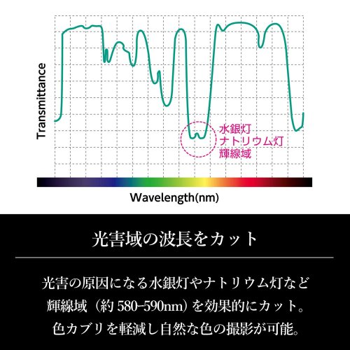 이미지3