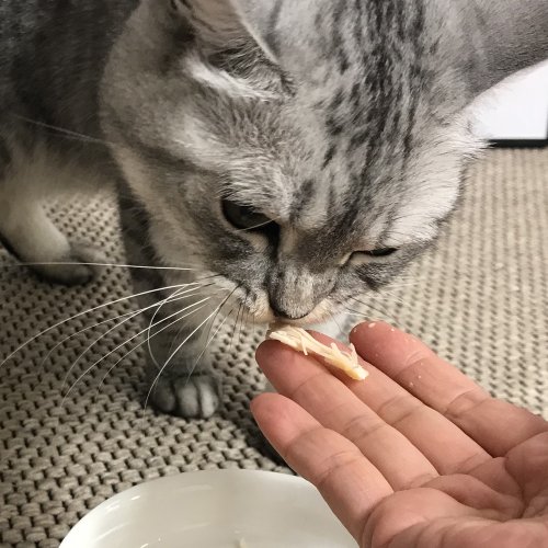 상품이미지5