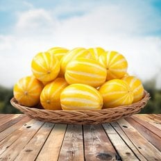 감좋은날 산지직송 성주 못난이 고당도 꿀 참외 대과 2kg