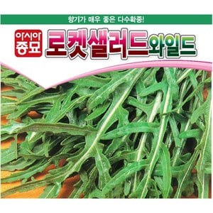 아시아종묘 루콜라루꼴라종자씨앗 와일드 로켓샐러드(12g)