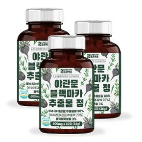 조은약초 야관문 블랙마카 추출물 정 야관문환 식약처 HACCP 인증 60정 x 3