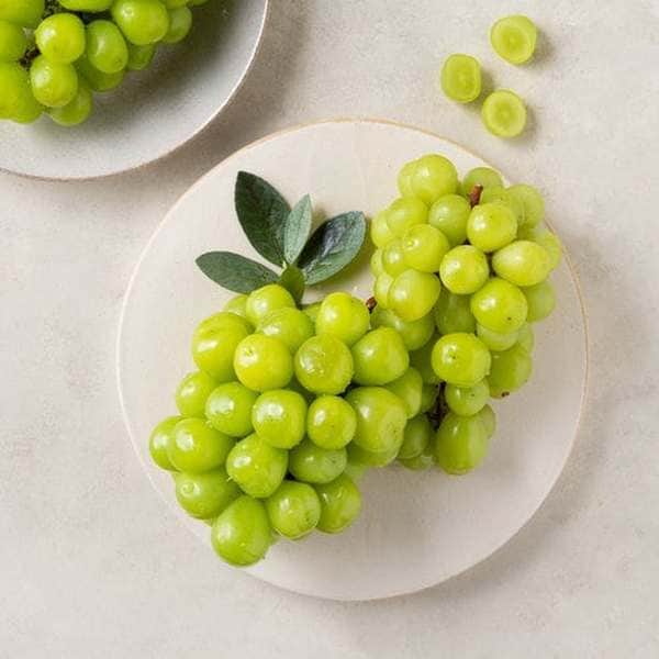 상품 이미지2