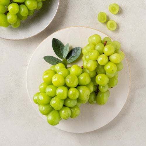 샤인머스캣 1.5kg 박스