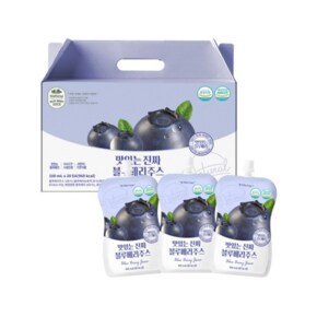맛있는 진짜 블루베리주스 100ml x 20개 1박스