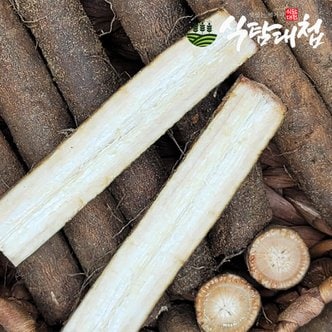 식탐대첩 국내산 햇 생우엉 2kg 상/특품