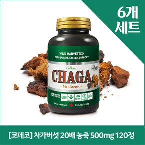 [코데코] 차가버섯 20배 농축 500mg 120정 x6