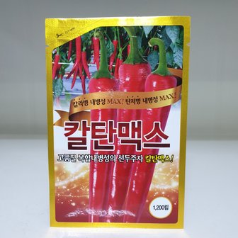 모두싹판다 칼탄맥스 고추씨앗 1200립