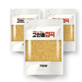 H고인돌 기장쌀 1.5kg(500gx3개) 찰기장 국내산기장