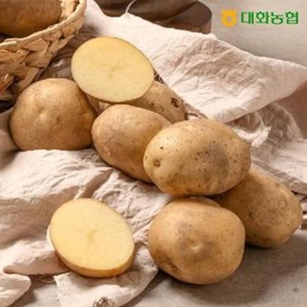 확대된 대표 대화농협 강원감자 5kg (개당 80~160g)(1)