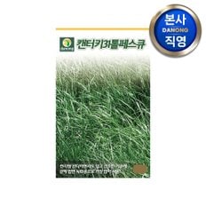 켄터키31톨훼스큐 잔디 씨앗 20g . 법면 녹화용 토양 침식 방지 비탈면 종자