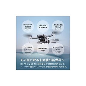 DJI Mini 2 SE,경량 2.7K 동영상 촬영 가능 접이식 미니 카메라 드론