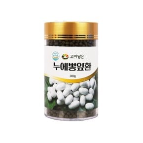 고이담은 누에뽕잎환 300g