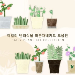 데일리 반려식물 화분재배키트 모음전