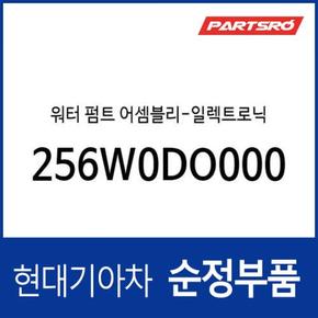 워터 펌트-일렉트로닉 (256W0DO000) 디 올 뉴 코나 일렉트릭