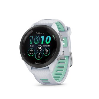 5. 가민 포러너 2..