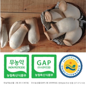  [산지직송]친환경 무농약 GAP인증 새송이버섯 1kg