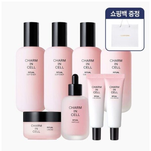 확대된 대표 1