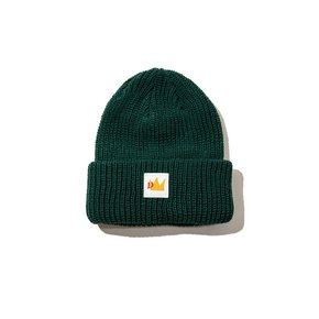 dw beanie (green)