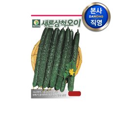 새론삼척 오이 씨앗 100g . 야채 채소 텃밭 파종 재배 주말 농장 씨 종자