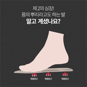 [하프클럽/트렌드세터]기능성 깔창 1color A0079