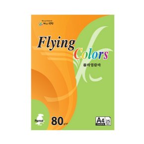 플라잉칼라 A4 P28 선록색 80g 25매 삼원 컬러OA 용지