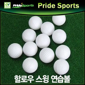 프라이드 골프스윙 연습볼 할로우볼 세트 12개입 1팩