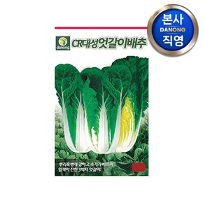 CR대성 엇갈이 배추 씨앗 120g . 원예 야채 채소 텃밭 주말 농장 씨 종자