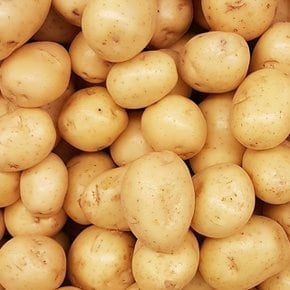 [팜쿡] 포슬포슬 국내산 감자 1kg 특