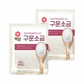 백설 구운소금 500g x2개