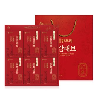  CJ 한뿌리 홍삼대보 40mlx24포x4set