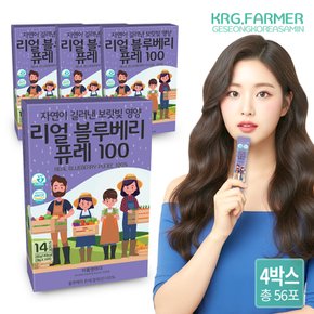 리틀앤마더 리얼 블루베리 퓨레 20g 14포 4박스