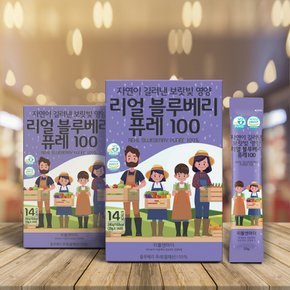 리틀앤마더 리얼 블루베리 퓨레 20g 14포 4박스