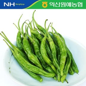 [농협] 신선 꽈리고추 1kg(특)