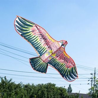 오너클랜 독수리연날리기(대)