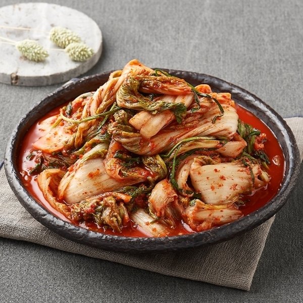 확대된 대표 image1
