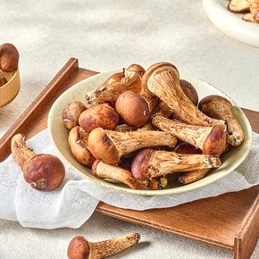 당일 수확 무농약 GAP 참송이버섯 정품 500g
