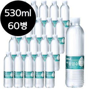 오리온 제주 용암수 530ml x 60병 생수 물 0.53리터